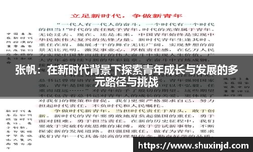 张帆：在新时代背景下探索青年成长与发展的多元路径与挑战